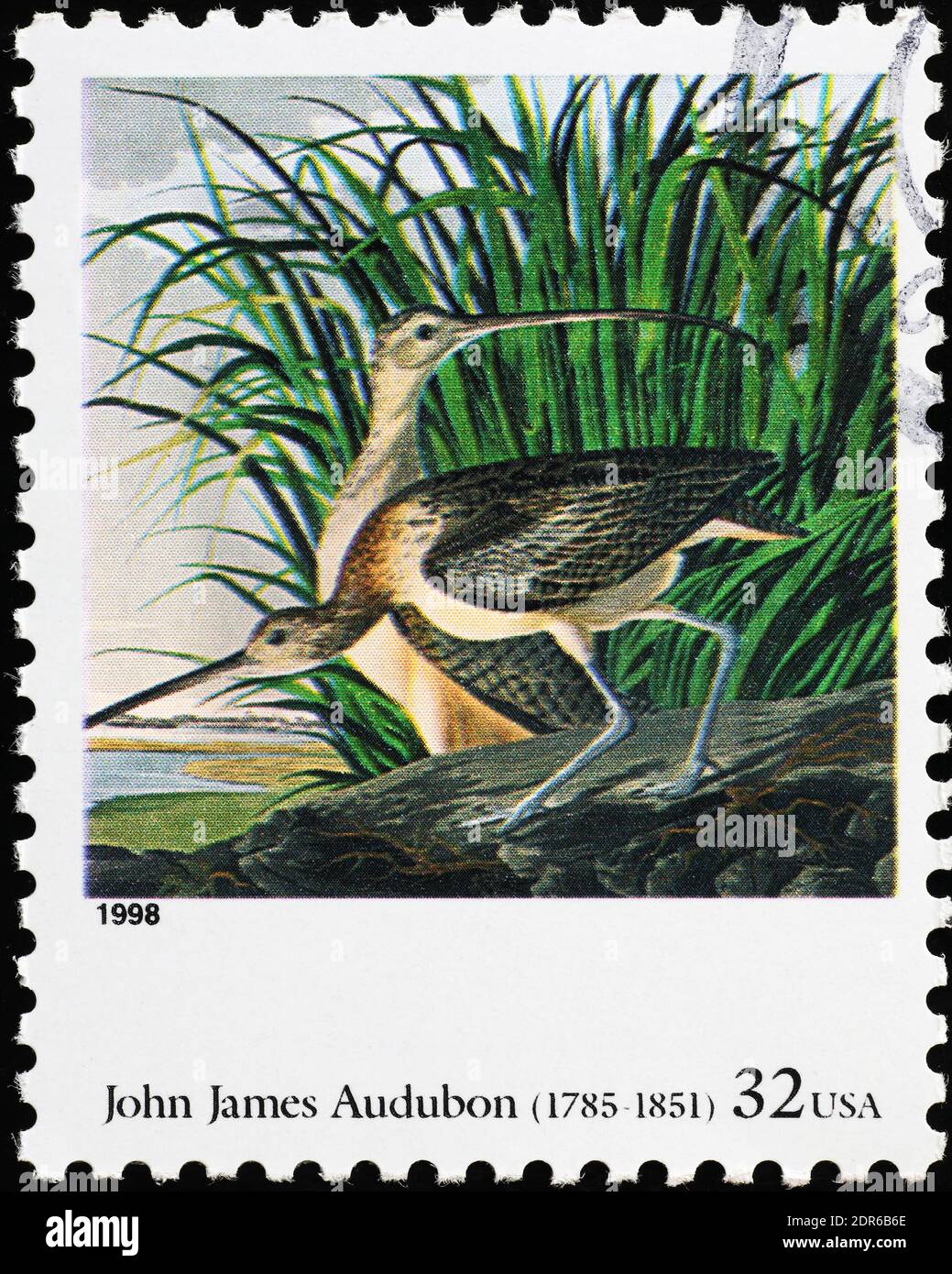 Long-Billed Curlews von John James Audubon auf amerikanischer Briefmarke Stockfoto