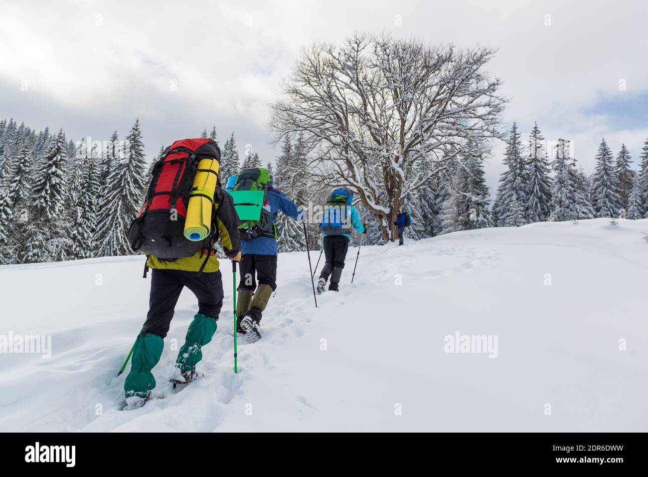 Wanderer in den Winterbergen. Extreme Outdoor-Aktivitäten im Winter Stockfoto