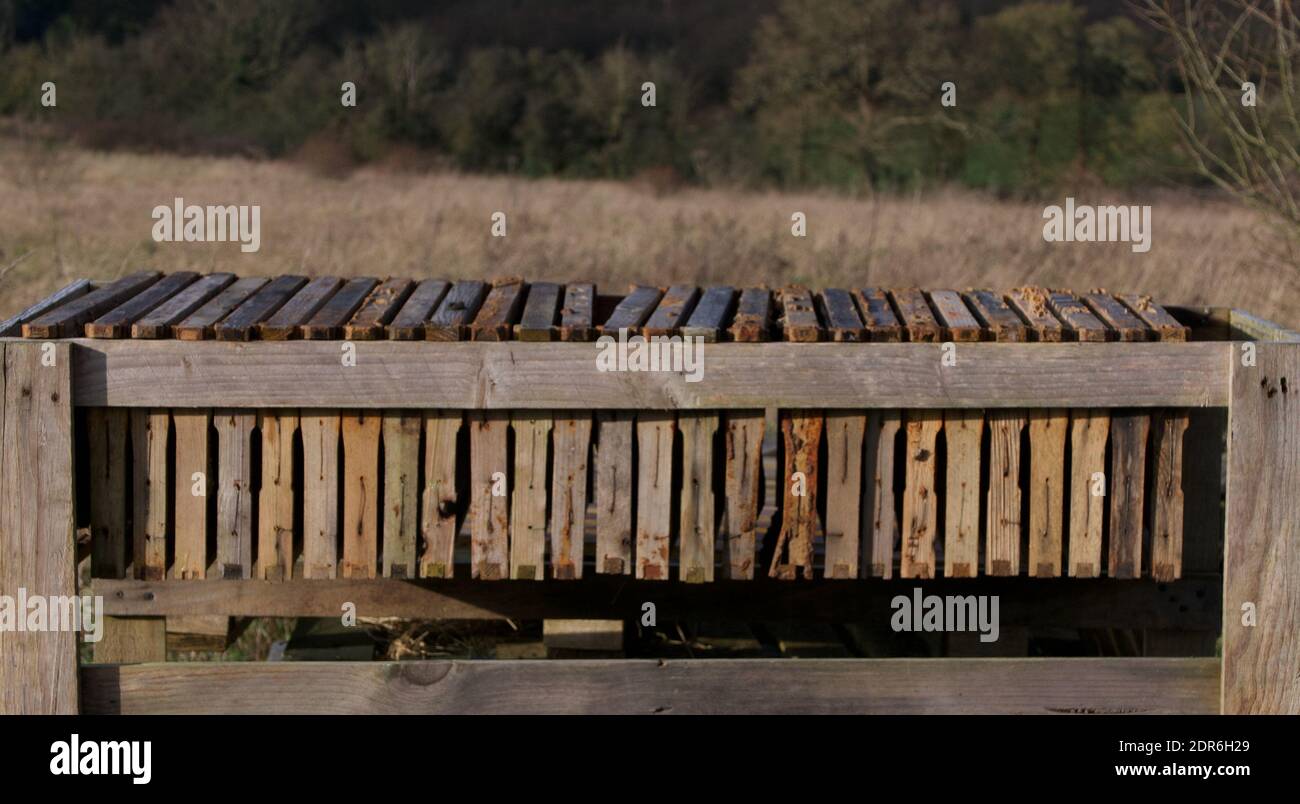 Bienenzucht Waben in Holztabletts hängen auf Stand in der Landschaft. Hochwertige Fotos Stockfoto