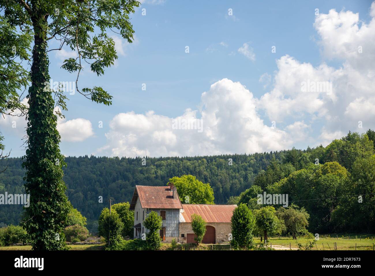 Blick auf das Dorf Monnet la Ville in Jura, Frankreich Stockfoto
