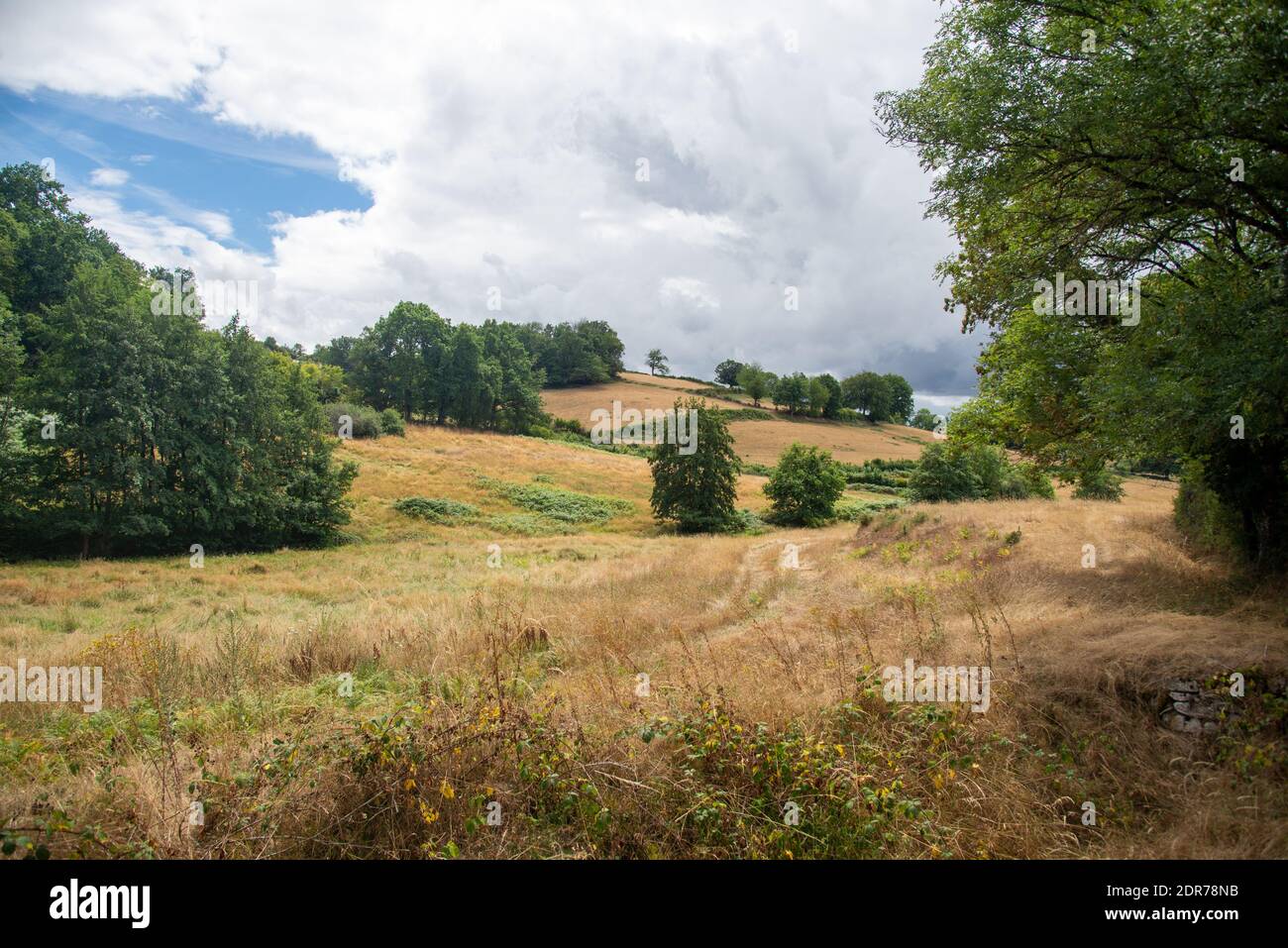 Blick auf die Landschaft von Bourgogne in Frankreich Stockfoto