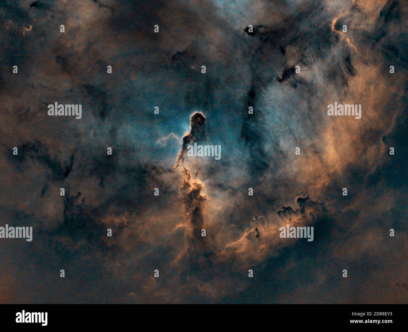 IC1396 der Elefantenrüsselnebel (starlos) Stockfoto