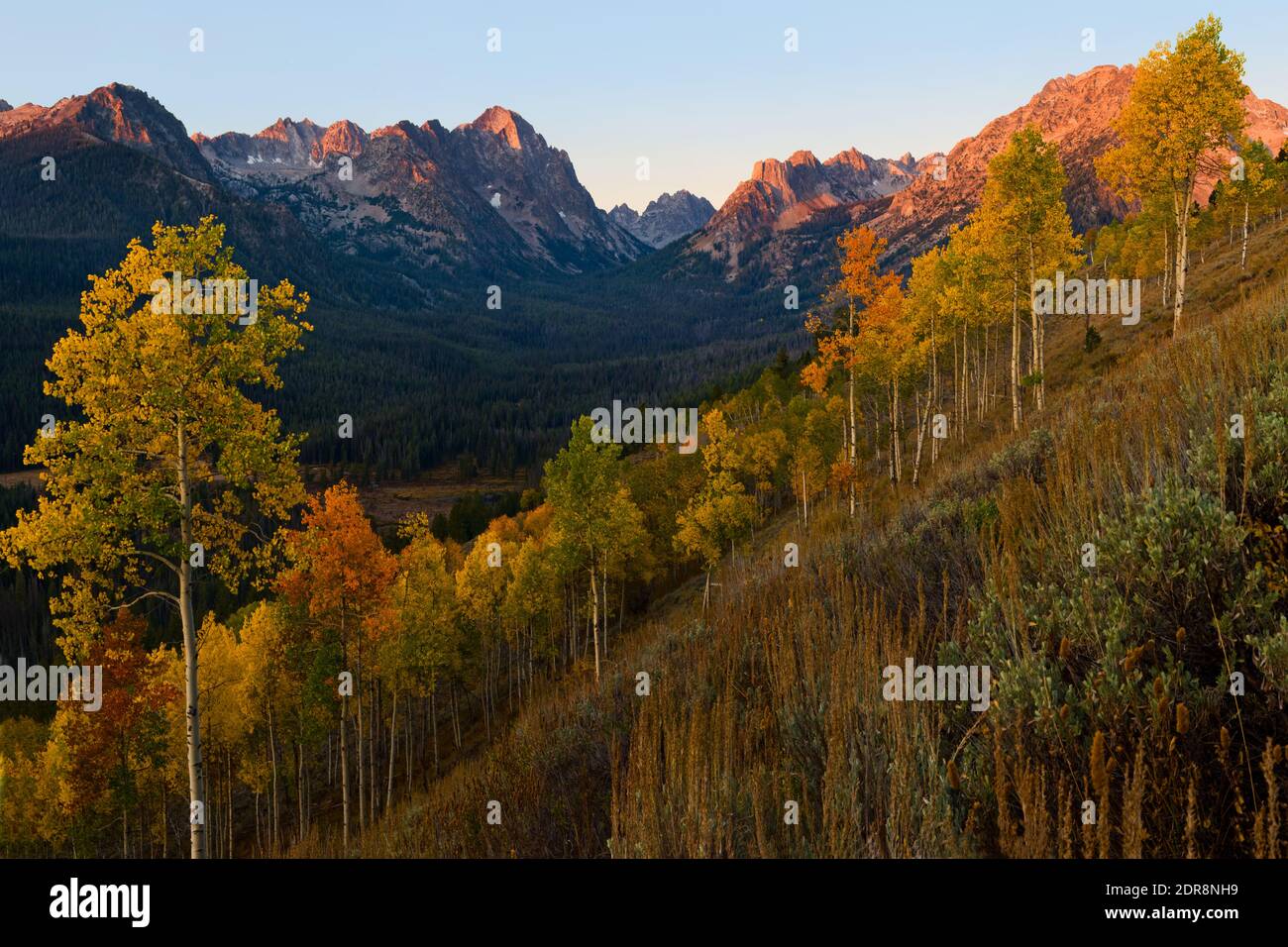 Am frühen Morgen erhellt Sonnenlicht die Gipfel in den Sawtooth Mountains in Idaho oberhalb des Fishhook Creek Canyon vom Marshall Lake Trail. Stockfoto