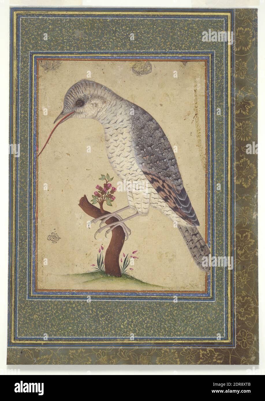 Künstler: Ali Naqi, aktiv 1684–1702, Wryneck on a Branch, Tinte und opakes Aquarell auf Papier, ohne Befestigung: 5 9/16 × 4 1/8 in. (14.2 × 10.4 cm), iranisch/persisch, islamisch, Safaviden-Dynastie (1501–1722), Gemälde Stockfoto