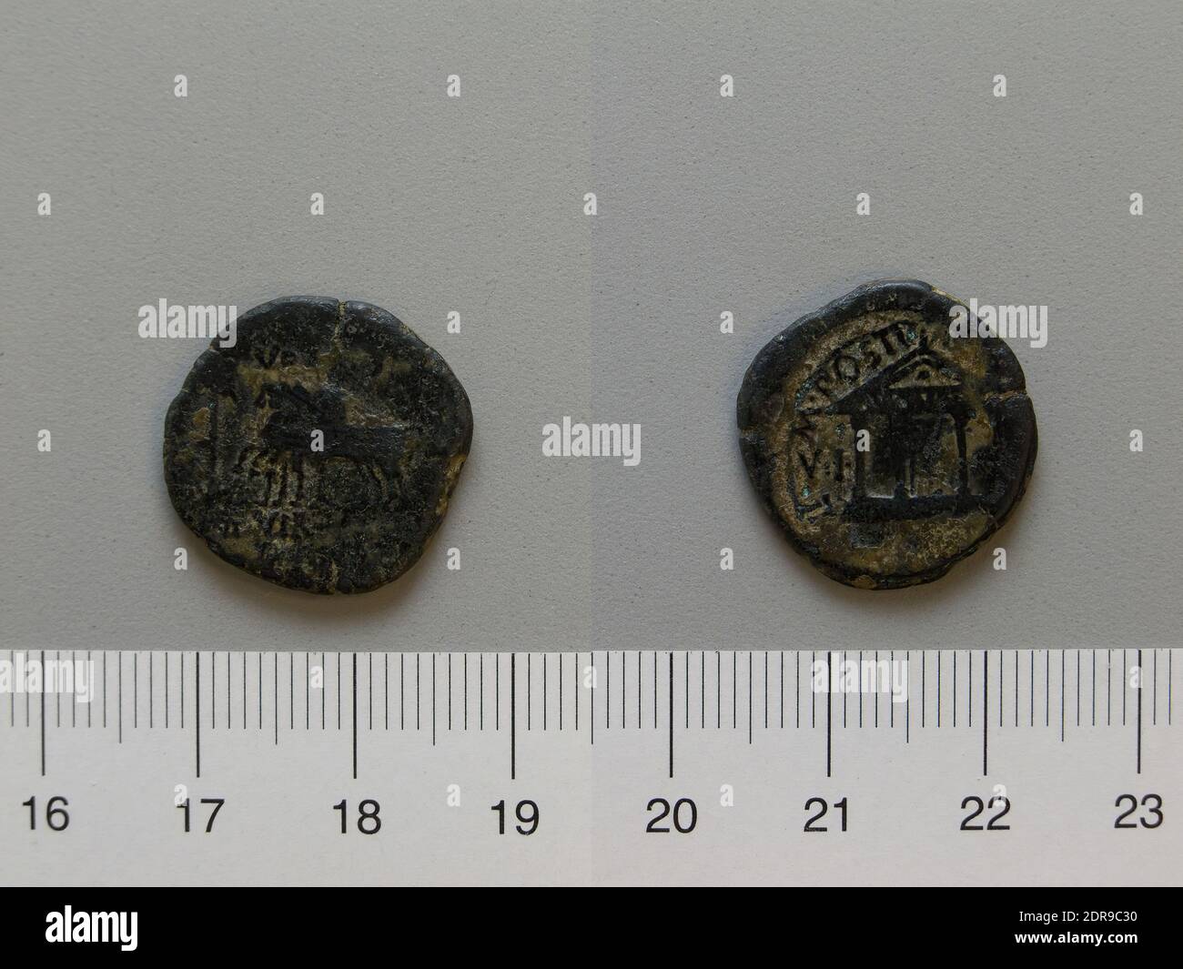 Münzstätte: Carthago Nova, Künstler: P. Postumius Albinus, Magistrat: P. Turullius, 1 Semis aus Carthago Nova, 12–19, Bronze, 3.95 g, 9:00, 19.5 mm, Made in Carthago Nova, Roman, 1. Jahrhundert, Numismatik Stockfoto
