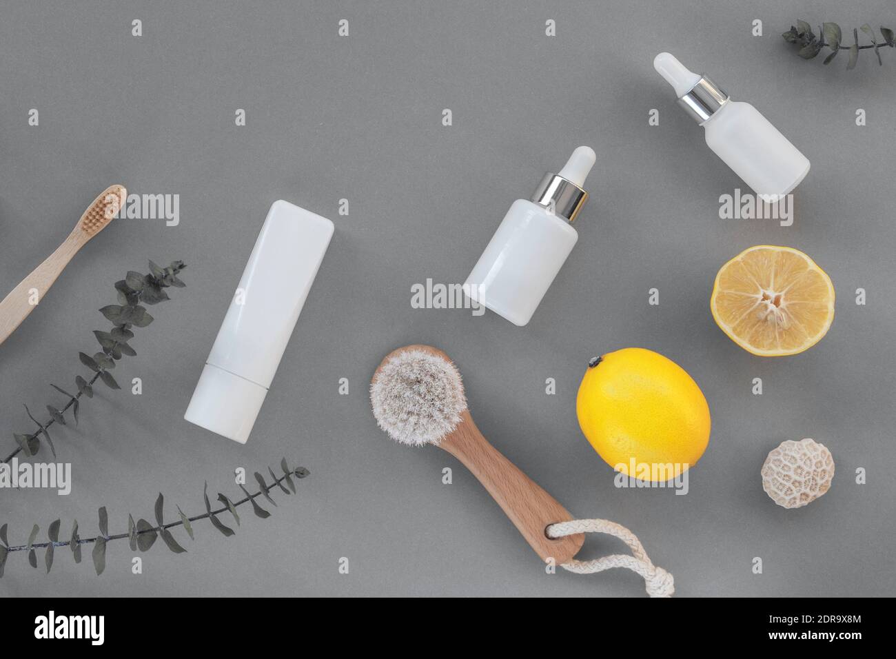 Zitronen flaschenbürste -Fotos und -Bildmaterial in hoher Auflösung – Alamy