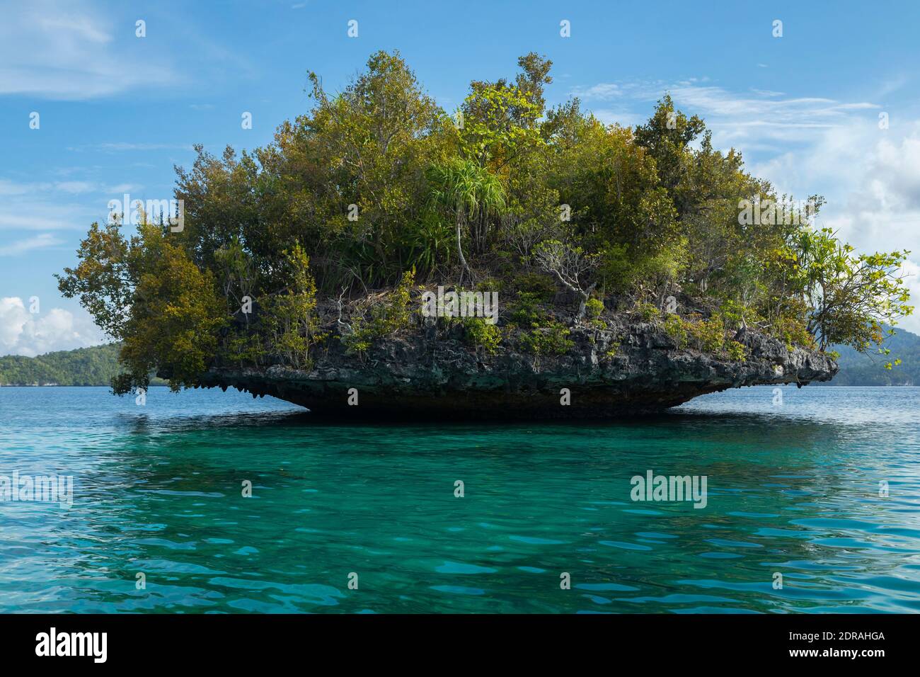 Kleine tropische Insel, vom Meerwasser getragen, bedeckt mit üppiger Vegetation, vor den schönen und himmlischen Küsten der Gam Insel in Raja Ampat, West Papua, Stockfoto