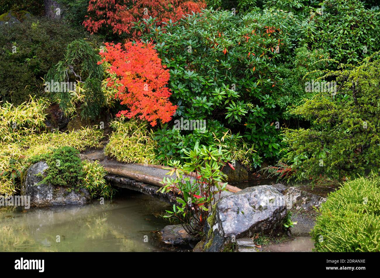 Meditationspunkt an einer Steinbrücke in einem japanischen Garten Im Herbst Stockfoto