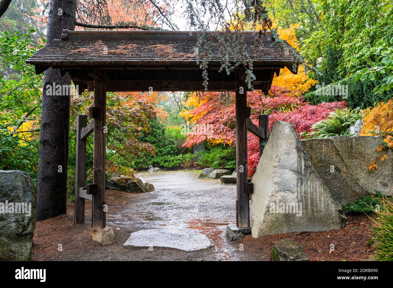 Japanisches Tor öffnet im Herbst in den Kubota Gärten Stockfoto