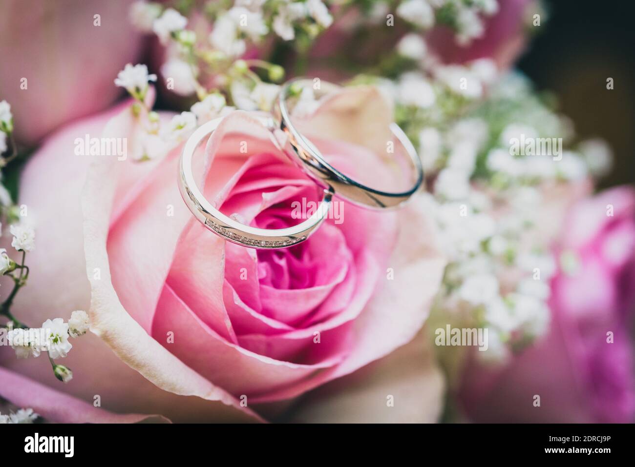 Eheringe Mit Rosen Im Hintergrund Stockfotos Und Bilder Kaufen Alamy