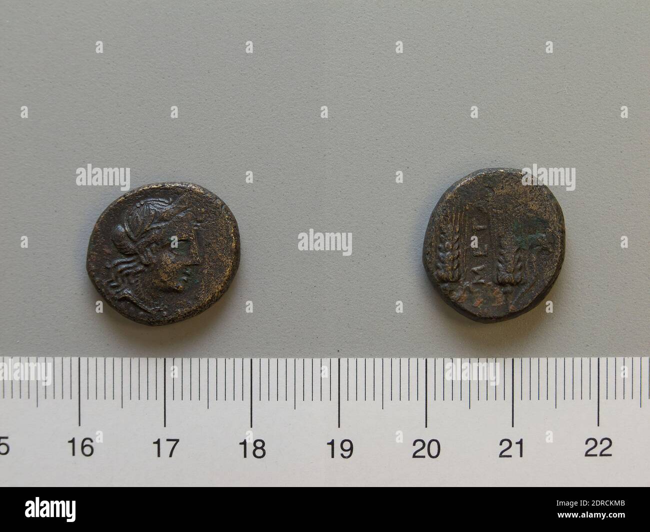 Münzstätte: Metapontum, Bruch aus Metapontum, 250–200 v. Chr., Bronze, 5.25 g, 9:00, 18 mm, hergestellt in Metapontum, Lucania, Griechisch, 3. Jahrhundert v. Chr., Numismatik Stockfoto