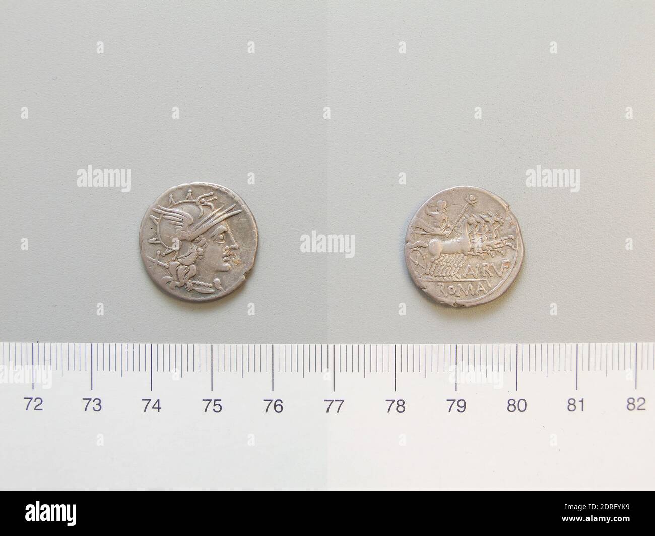Münzstätte: Rom, Magistrat: EIN RVF, Denarius aus Rom, 144 v. Chr., Silber, 3.95 g, 2:00, 18 mm, Made in Rome, Italy, Roman, 2. Jahrhundert v. Chr., Numismatik Stockfoto