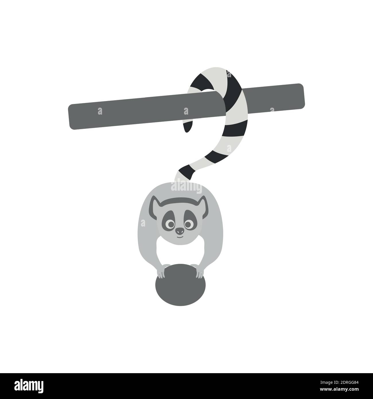 Ringschwanz-Lemur. Isolierter wilder Affe mit langem gestreiftem Schwanz. Cute Primate Säugetier Cartoon Charakter-Symbol. Stock Vektor