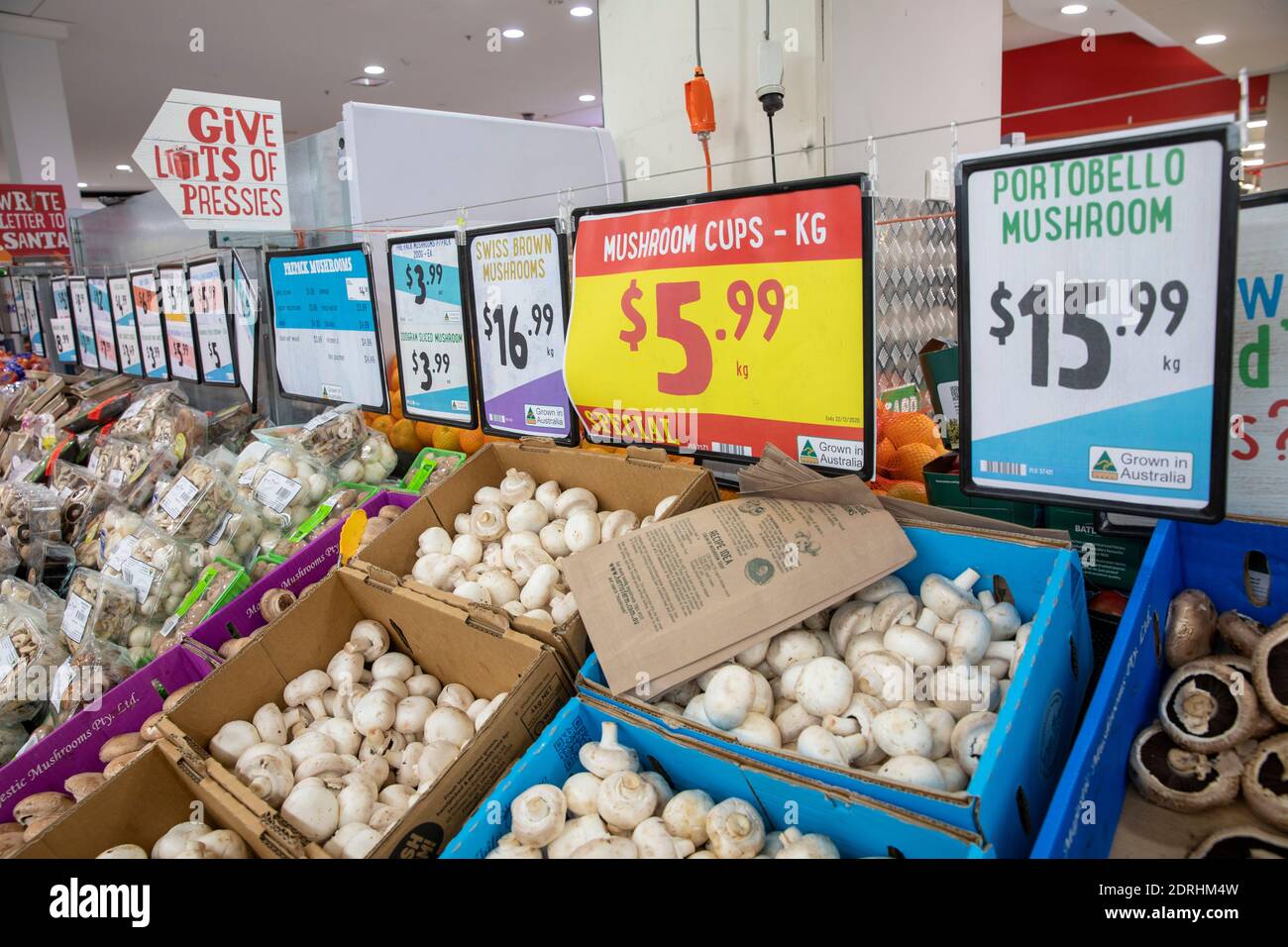 Portobello Pilze lose zum Verkauf in einem Supermarkt in Sydney, Australien Lebensmittelgeschäft Einkaufen Stockfoto