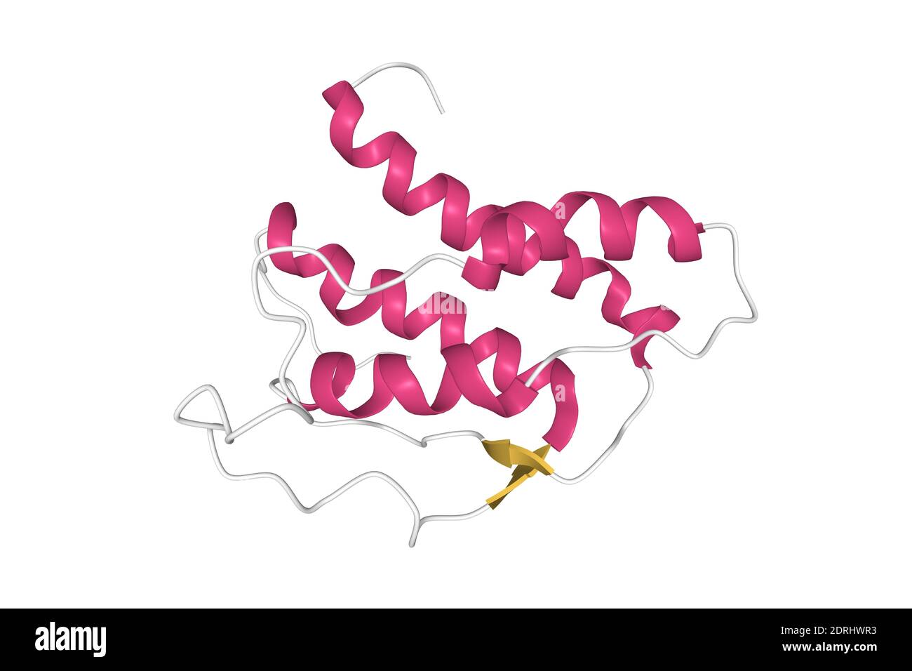 Struktur des menschlichen Interleukin-21, 3D-Cartoon-Modell isoliert mit den farbigen Elementen der sekundären Struktur, weißer Hintergrund Stockfoto