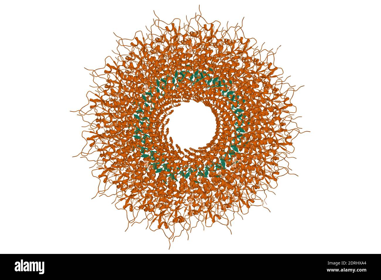 Hochauflösende Struktur des Tabakmosaikvirus, 3D-Cartoon-Modell, weißer Hintergrund Stockfoto