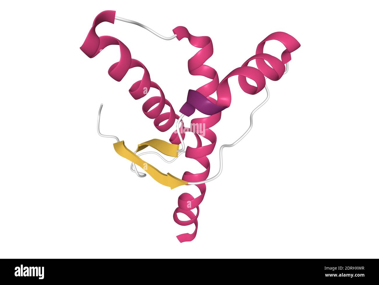 Struktur der menschlichen Prion, 3D-Cartoon-Modell isoliert, weißer Hintergrund Stockfoto