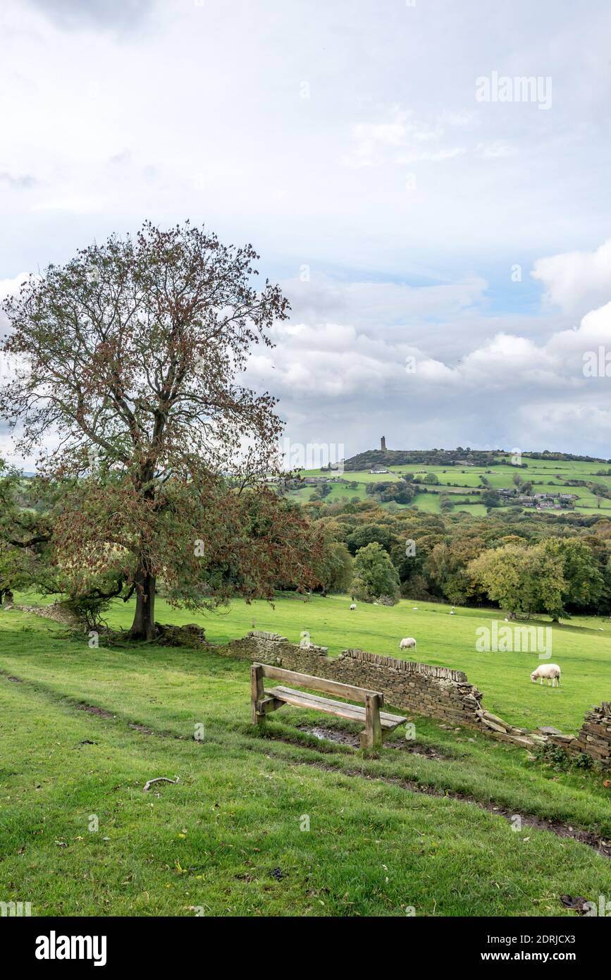Castle Hill und Molly Carr Woods, Almondbury, Huddersfield, West Yorkshire, England, Großbritannien Stockfoto