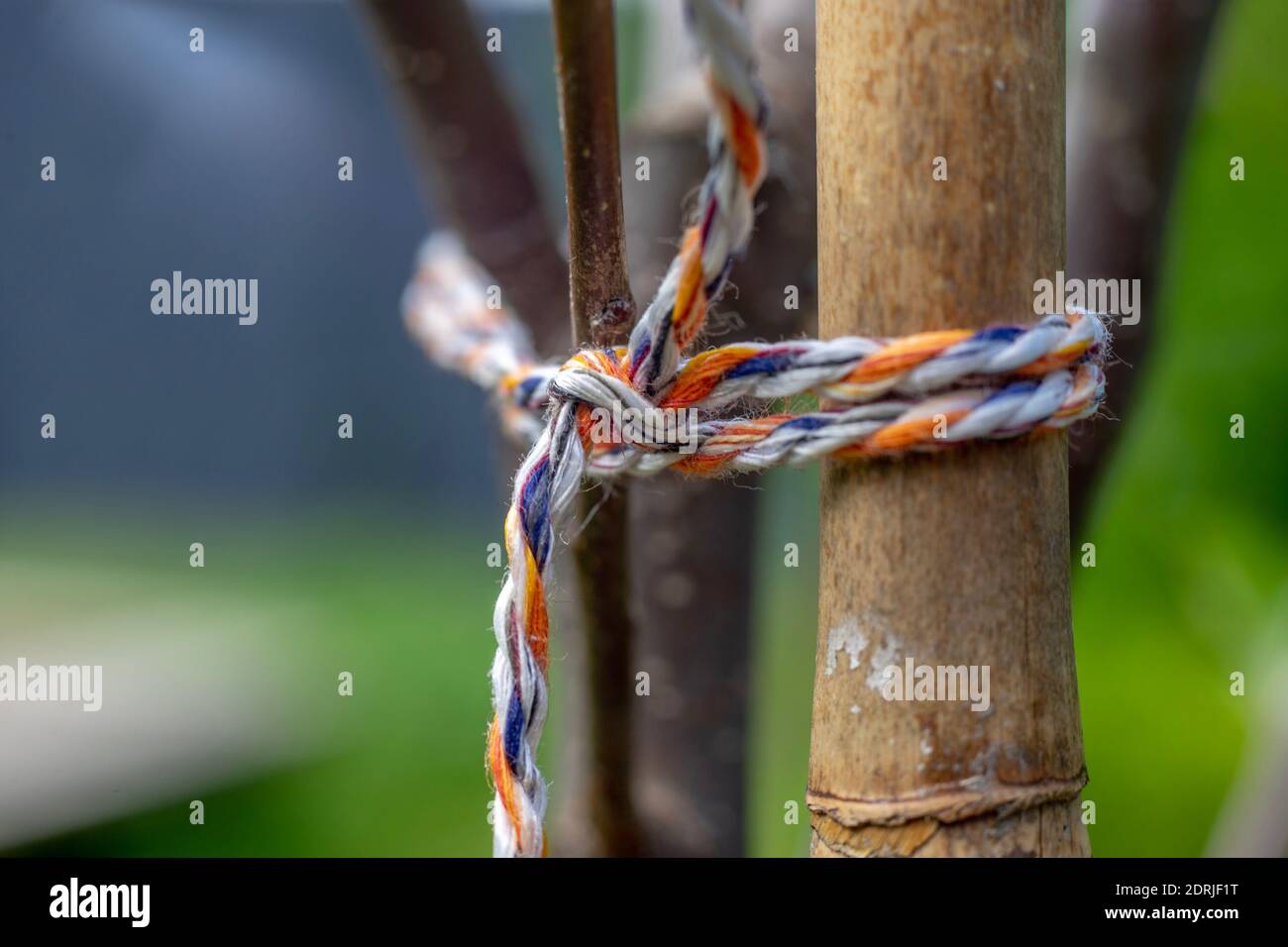 Close-up von Seil gebunden auf hölzernen Pfosten Stockfotografie - Alamy