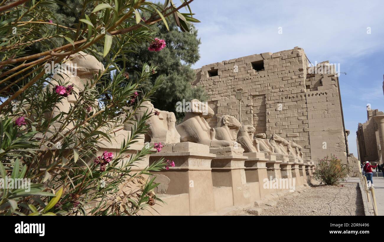 Ägypten Stockfoto