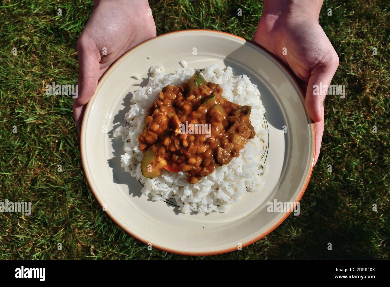 Hausgemachtes Veganes Curry Stockfoto