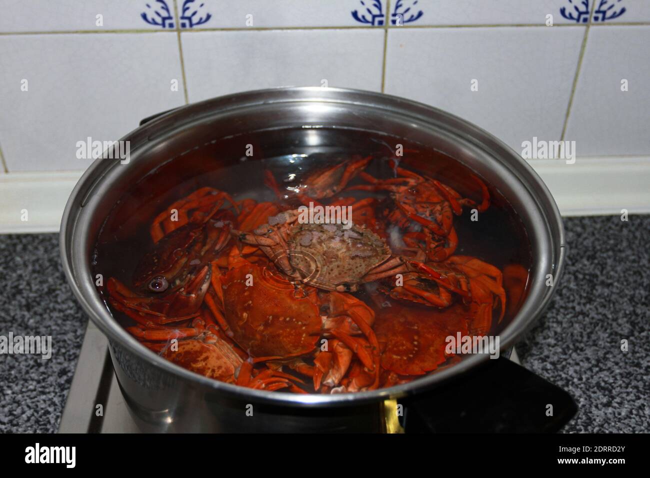 Frische ganze Krabben kochen in einer Pfanne Stockfoto