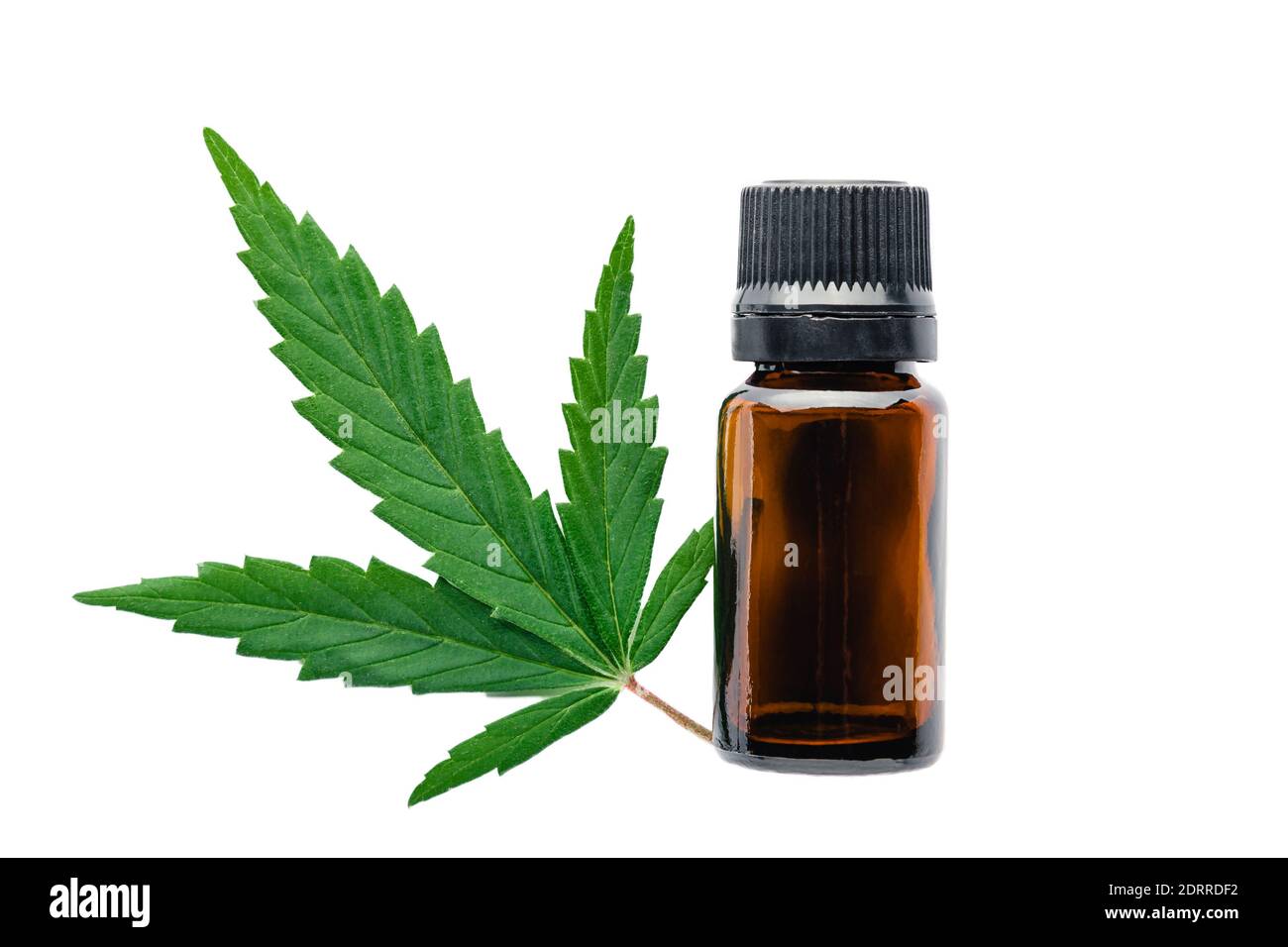 Hanföl ätherisches Öl in schwarzer Glasflasche mit Cannabisblättern isoliert auf weißem Hintergrund. Cannabisblatt mit Hautpflegeprodukt Stockfoto