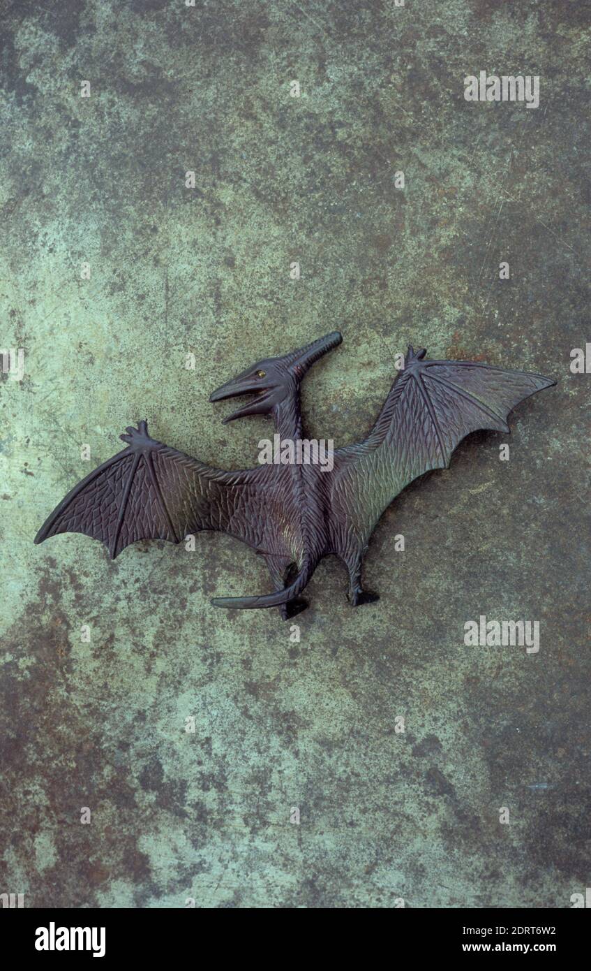 Modell von prähistorischen Pterodactylus oder Pterosaur liegen auf