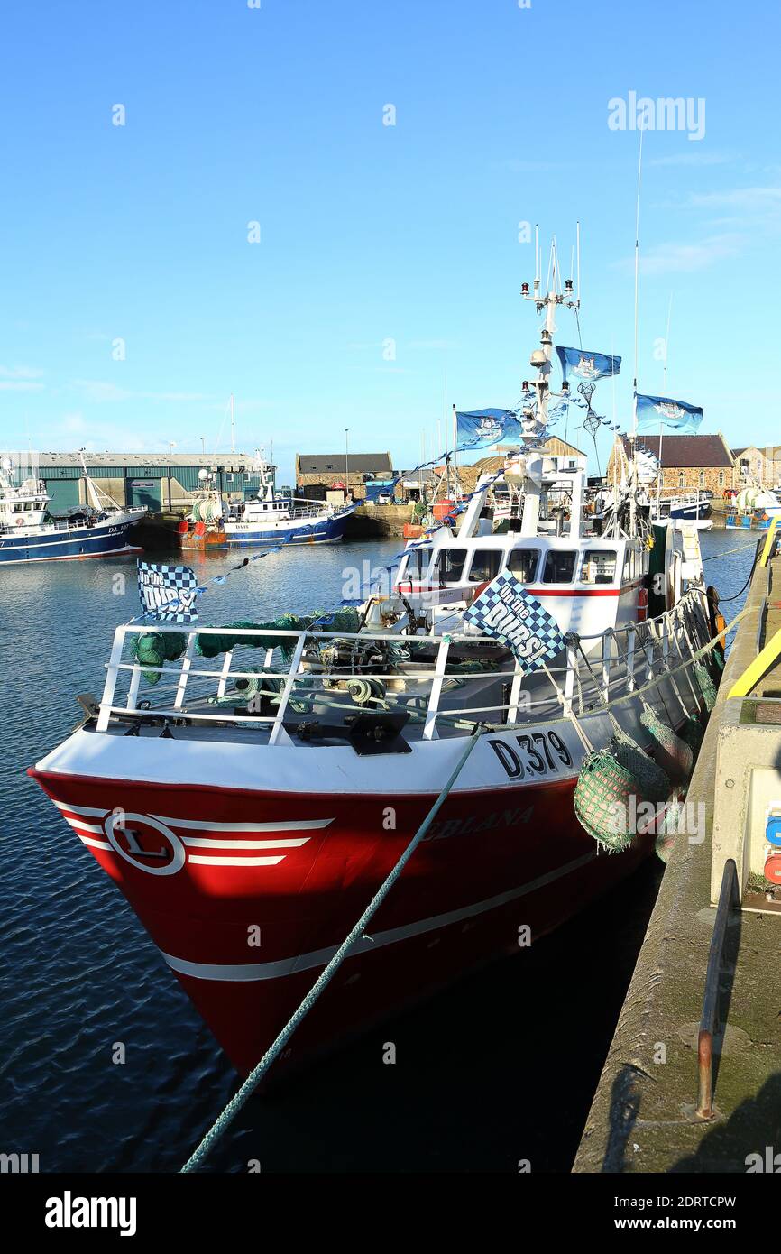 Fischerboote in Howth Harbor, Dublin, Irland Stockfoto