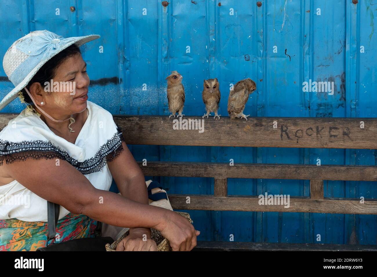 Die sitzende Frau schaut auf die drei Eulen, die auf der Rückseite der Bank stehen. Myanmar Yangon 2019 Stockfoto