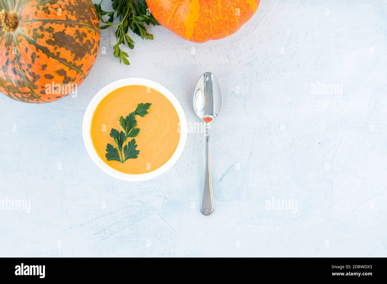 Kürbis- und Karottensuppe mit Sahne und Petersilie auf weißem Hintergrund auf weißem Teller mit Kürbissen. Draufsicht. Speicherplatz kopieren Stockfoto