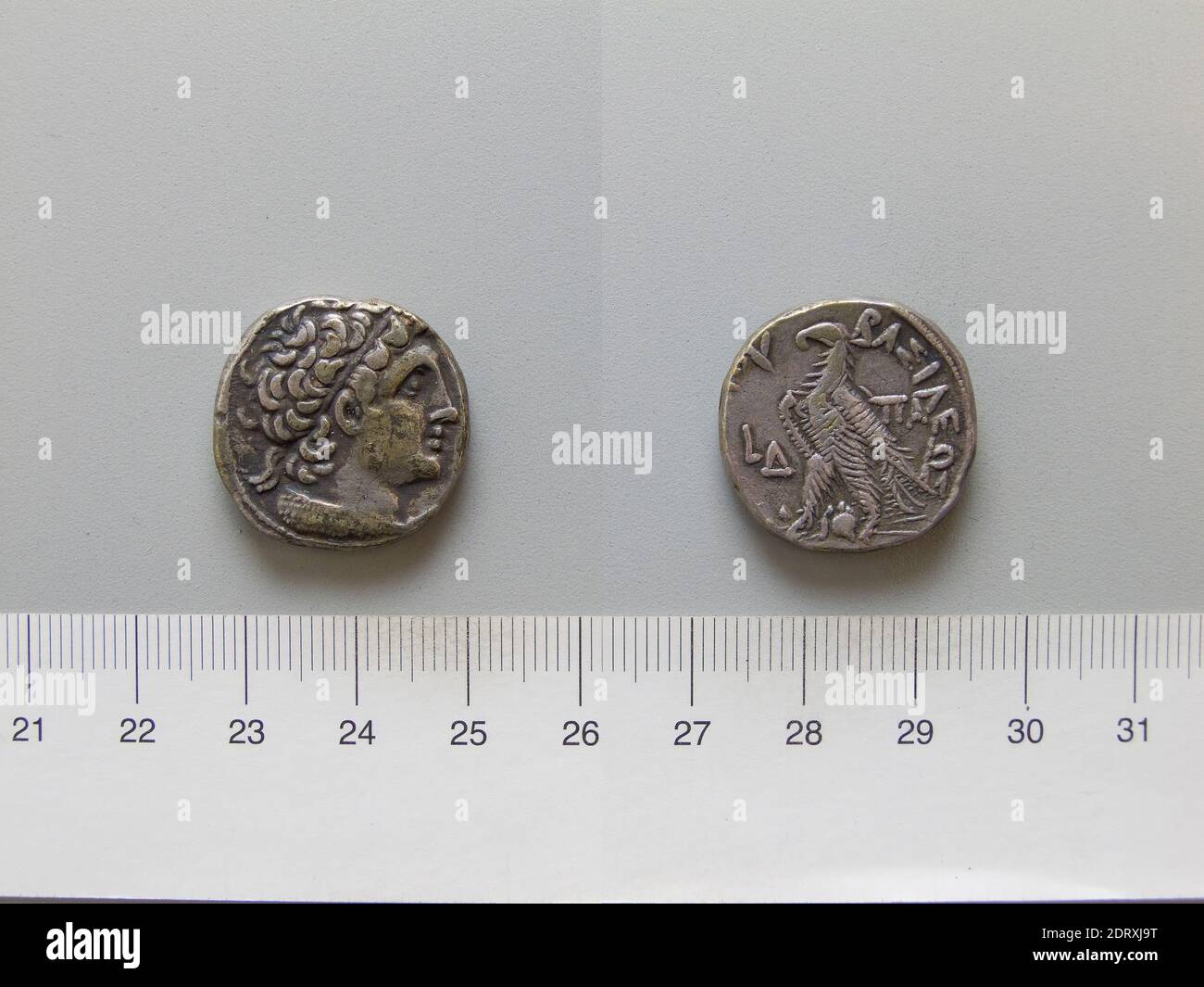 Herrscher: Ptolemäus XIII Theos Philopator, Altmazedonisch, 51–47 v. Chr. Münzstätte: Alexandria, Tetradrachm von Ptolemäus XIII Theos Philopator aus Alexandria, 51–47 v. Chr., Silber, 13.84 g, 12:00, 23.7 mm, hergestellt in Alexandria, Ägypten, Griechisch, 1. Jahrhundert v. Chr., Numismatik Stockfoto