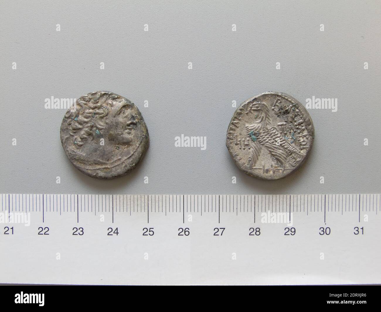 Herrscher: Ptolemäus XIII Theos Philopator, Altmazedonisch, 51–47 v. Chr. Münzstätte: Alexandria, Tetradrachm von Ptolemäus XIII Theos Philopator aus Alexandria, 51–47 v. Chr., Silber, 13.38 g, 12:00, 25.1 mm, hergestellt in Alexandria, Ägypten, Griechisch, 1. Jahrhundert v. Chr., Numismatik Stockfoto