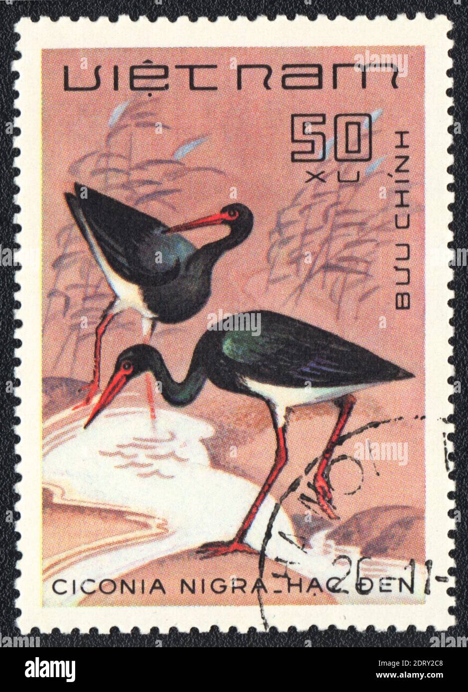 Eine in Vietnam gedruckte Briefmarke zeigt Schwarzstorch (Ciconia nigra), aus der Serie, 1980 Stockfoto