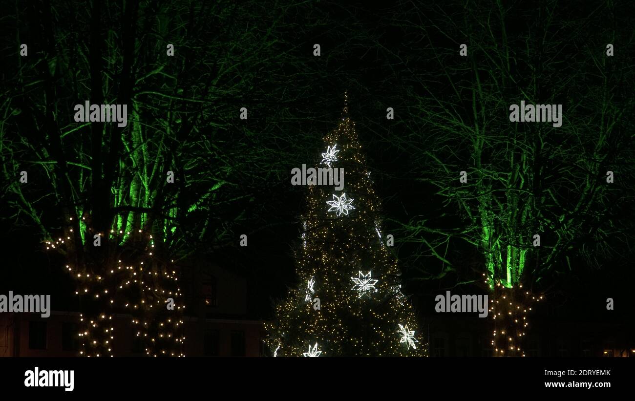Weihnachtsnacht Magie. Beleuchtete Bäume und der Weihnachtsbaum in urbaner Landschaftsgestaltung. LED-Ketten und die Lichtdekoren in der Stadt. Festlich und drea Stockfoto