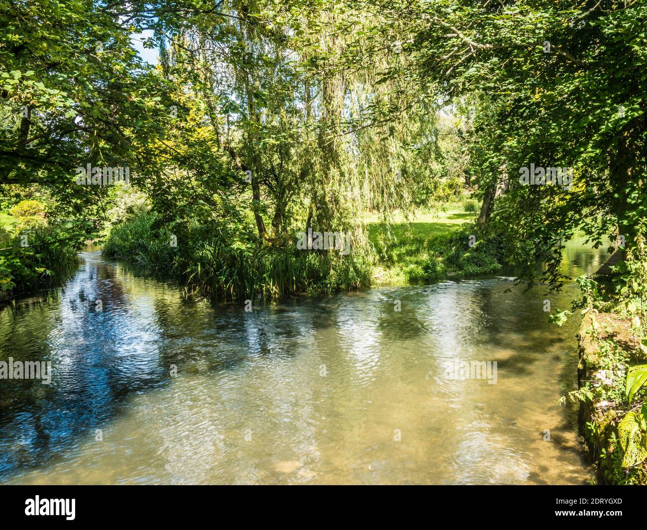 Der hübsche River Coln in Ablington in den Gloucestershire Cotswolds. Stockfoto