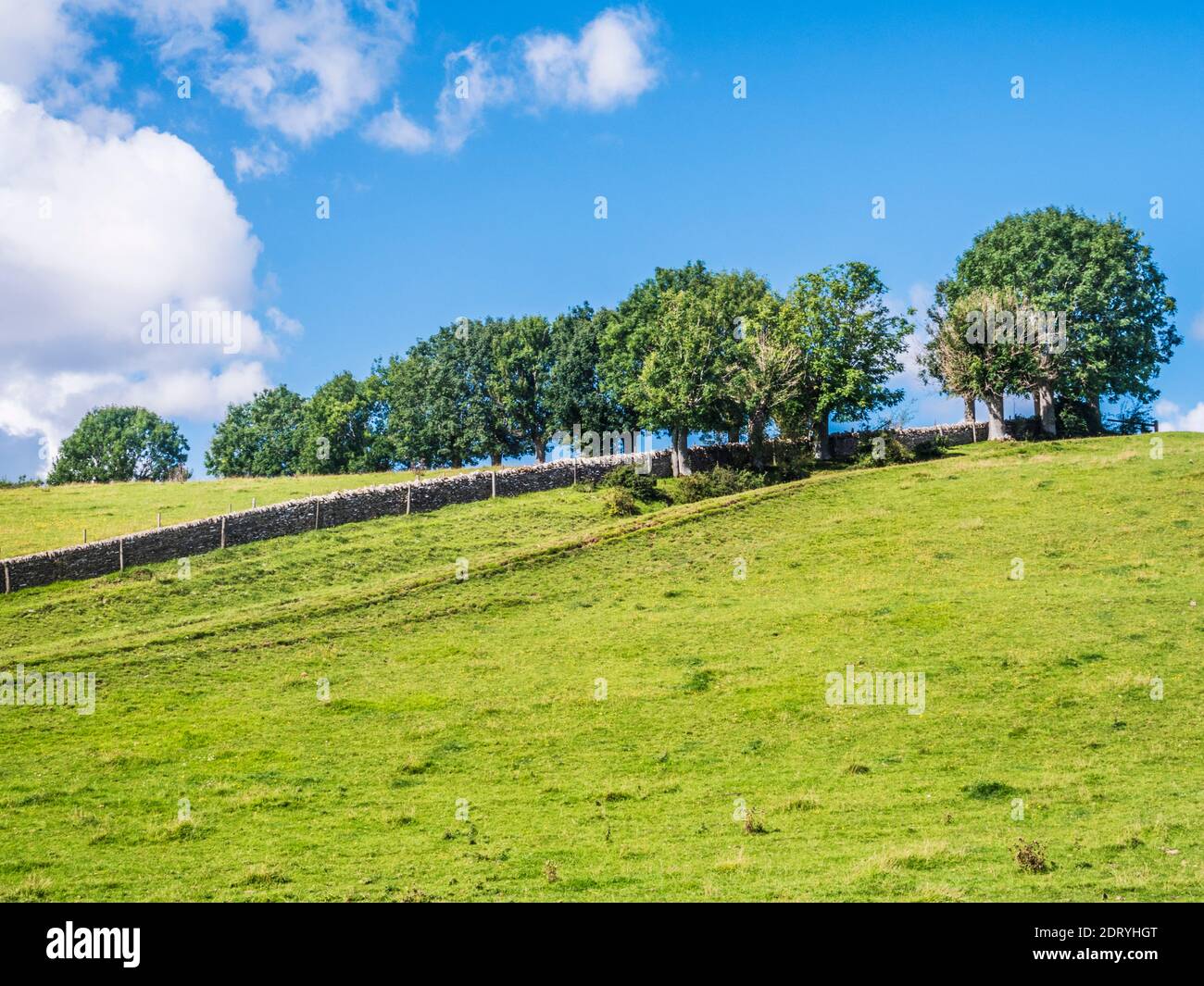 Hügelige Sommerlandschaft in den Gloucestershire Cotswolds. Stockfoto