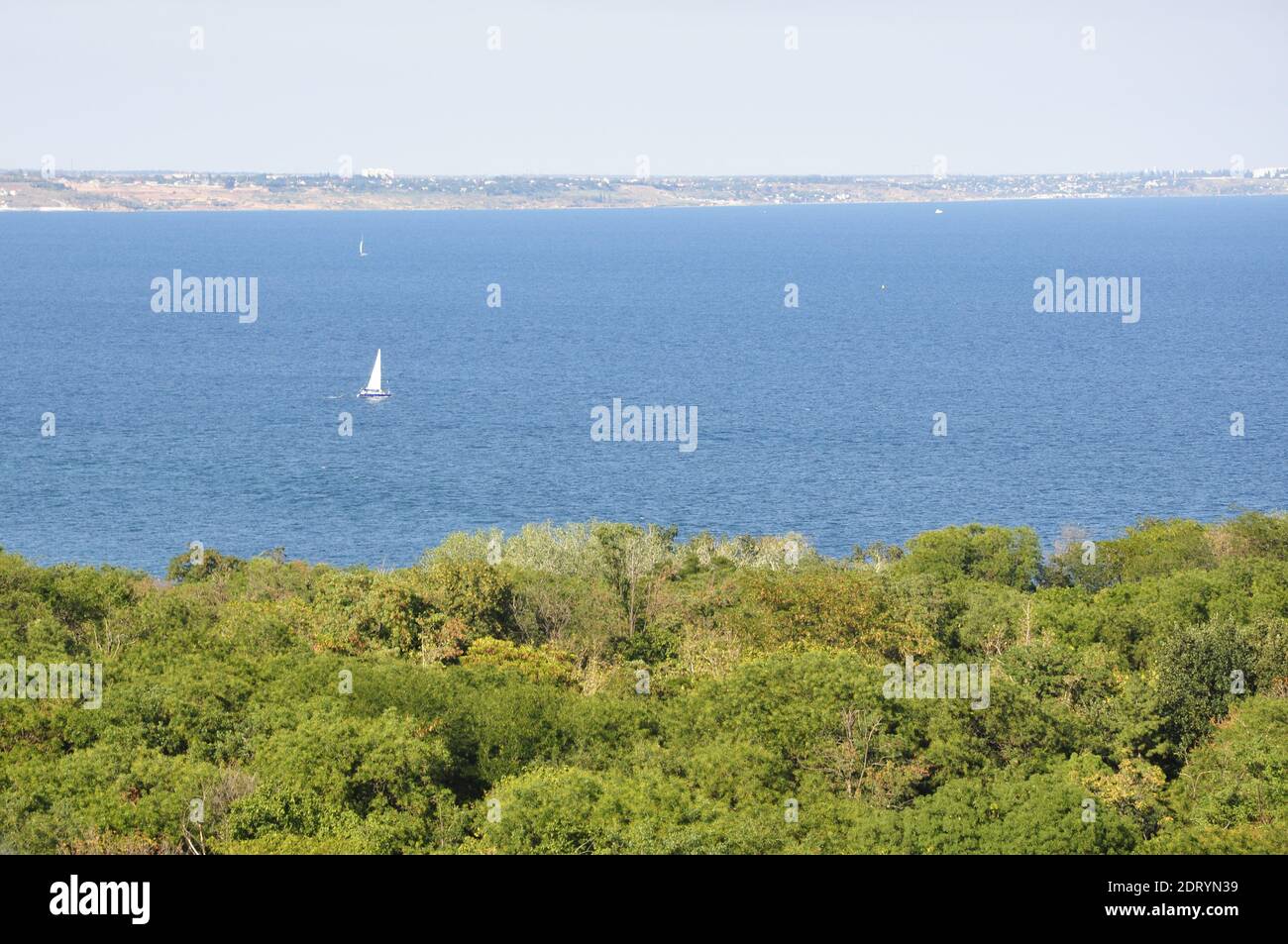 Meer mit Segelbooten, blauer Himmel, Wald am Ufer. Stockfoto