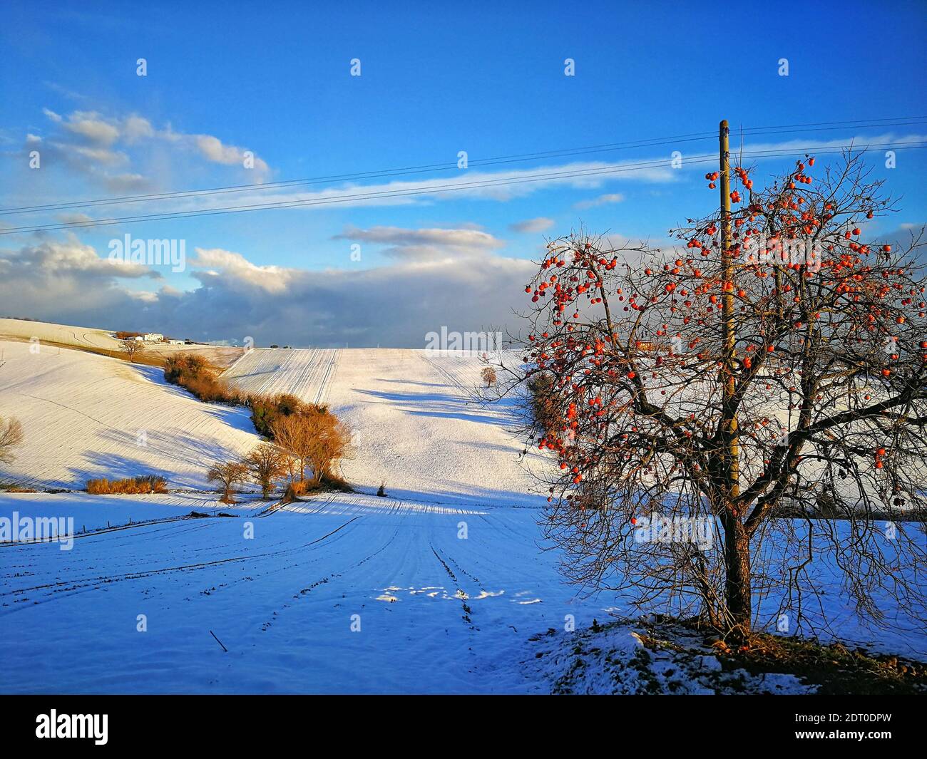 Malerische Aussicht auf Schnee bedeckt Feld gegen Himmel Stockfoto