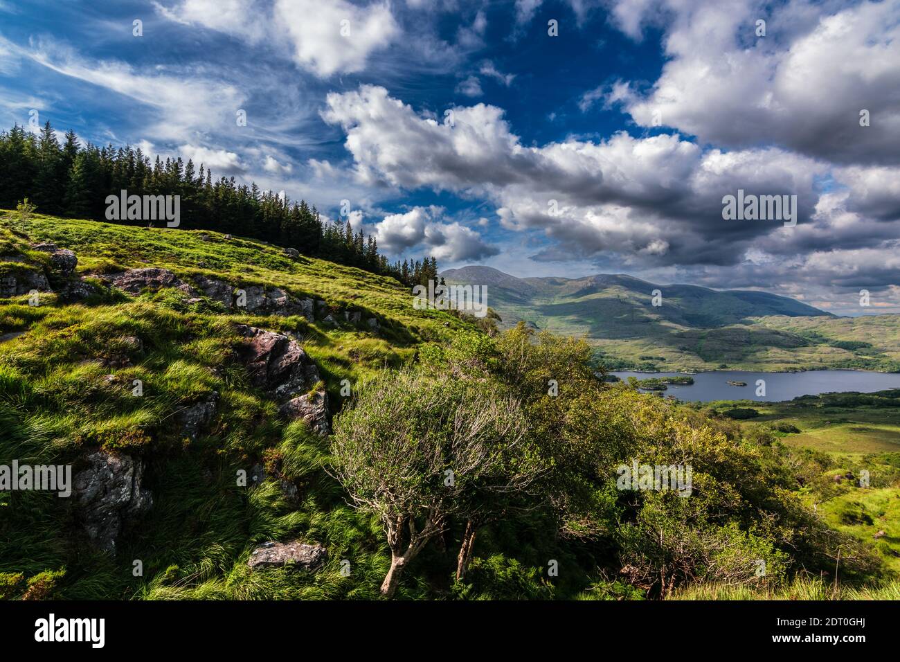 Landschaft des Killarney National Park, dramatischer Himmel, grüne Berge und Wald mit See, Ring of Kerry in der Nähe der Stadt Killarney, Grafschaft Kerry in Irland Stockfoto