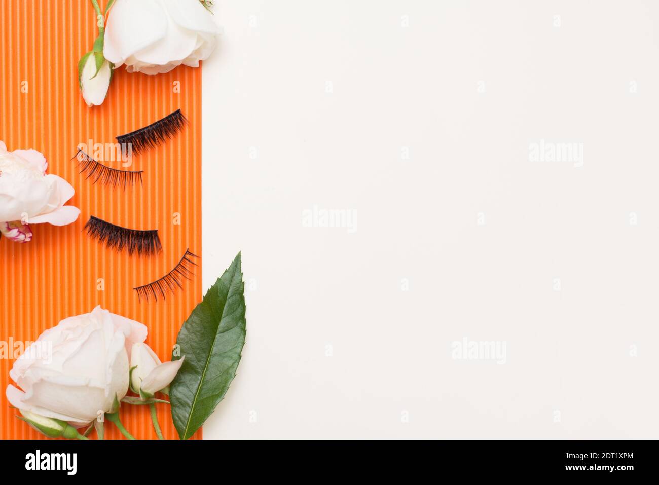 Wimpern und weiße Rosen auf orangefarbenem und weißem Hintergrund mit einem Kopierbereich. Stockfoto