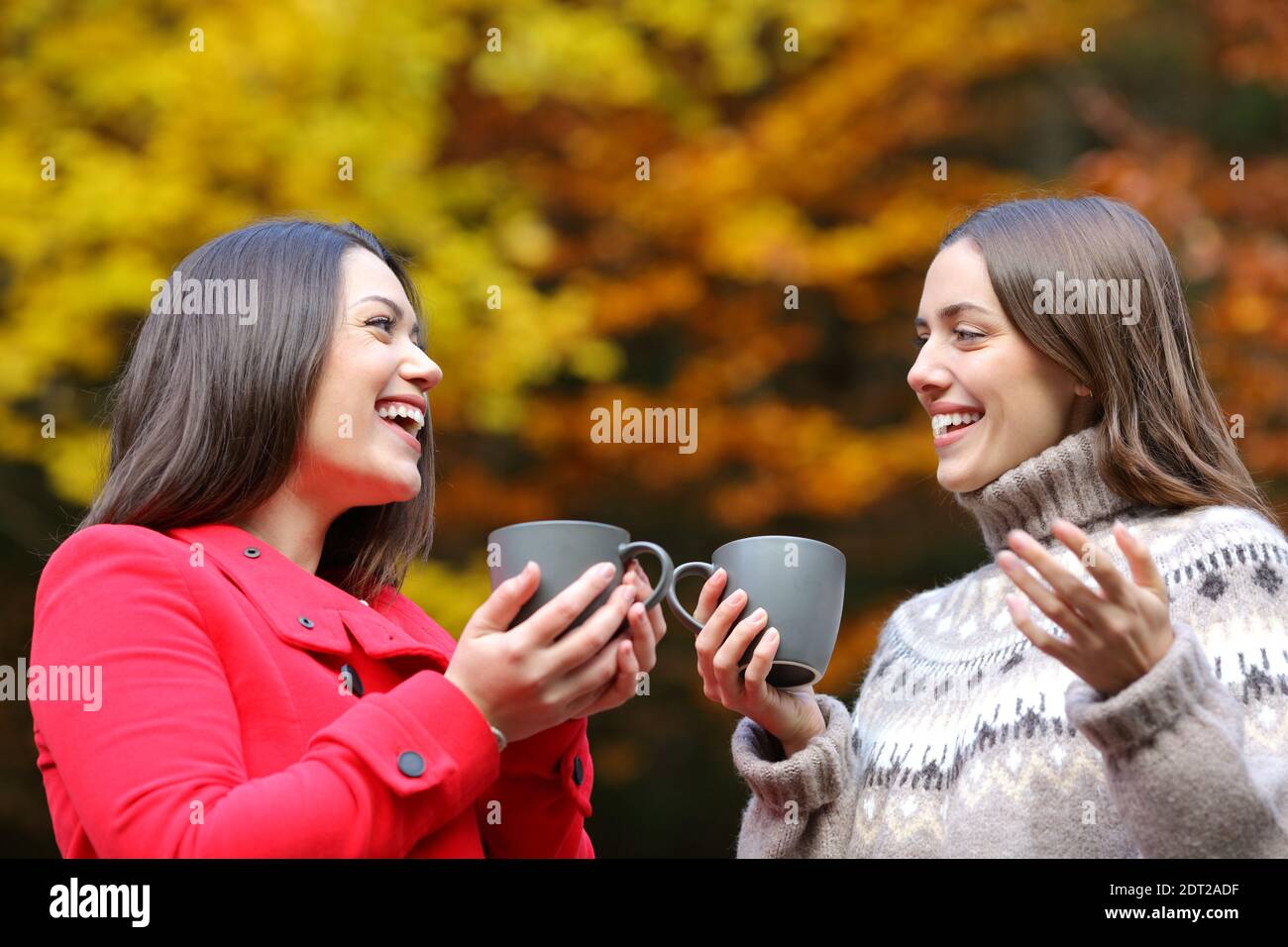 Glückliche Freunde im Gespräch mit Kaffeebechern stehen in einem Park Im Winter Stockfoto