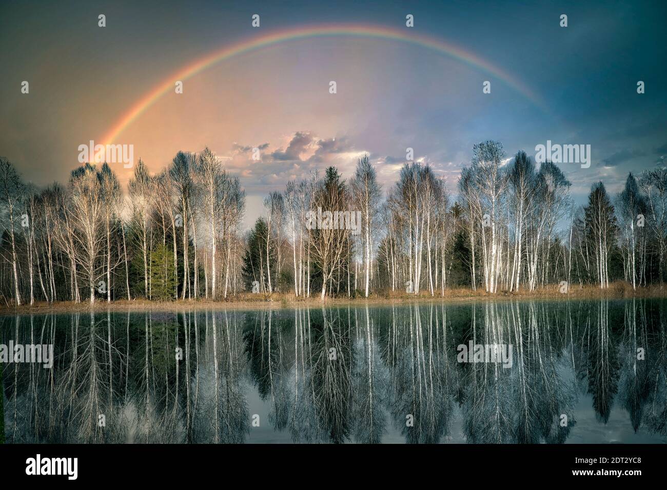 FOTOKUNST: Regenbogen über Loisach Moorlandschaft, Oberbayern, Deutschland Stockfoto