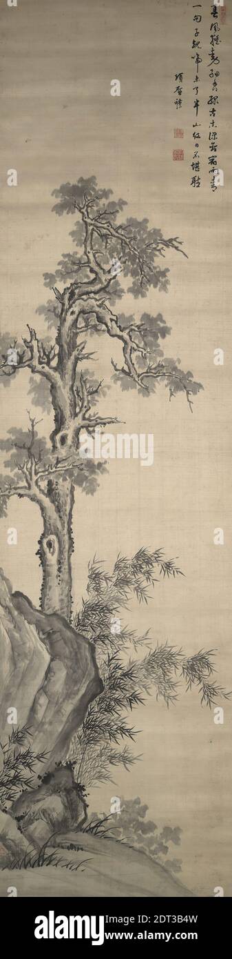 Künstler: Xiang Shengmo, 1597–1658, Wutong Tree, Bamboo, and Rock, 17. Jahrhundert, hängende Schriftrolle, Tusche auf Satin, ohne Montage: 76 3/8 × 20 1/4 Zoll (194 × 51.5 cm), China, Chinesisch, Ming-Dynastie (1368–1644), Gemälde Stockfoto