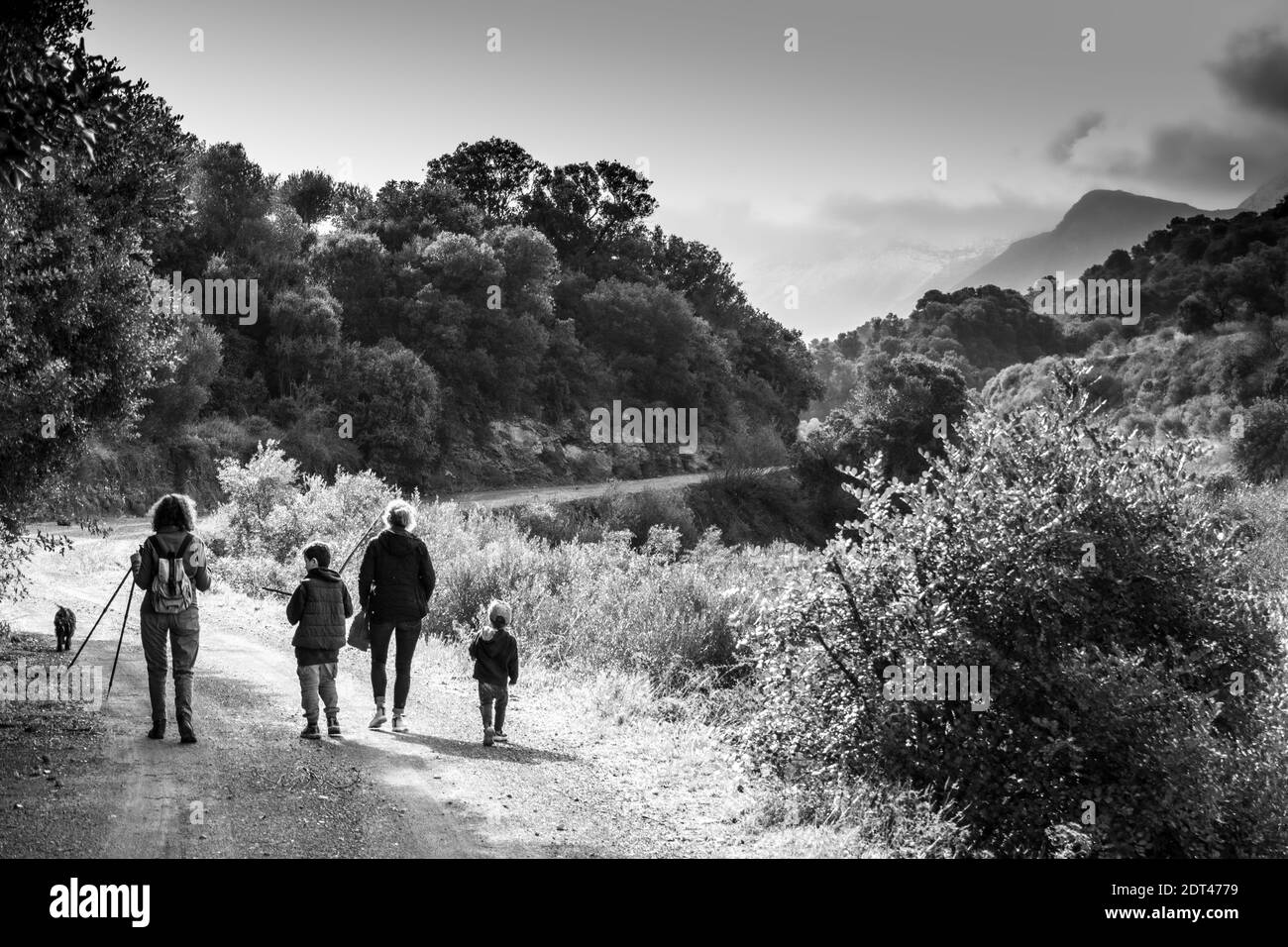 Rückansicht von Wanderern, die auf einem unbefestigten Weg gehen Stockfoto