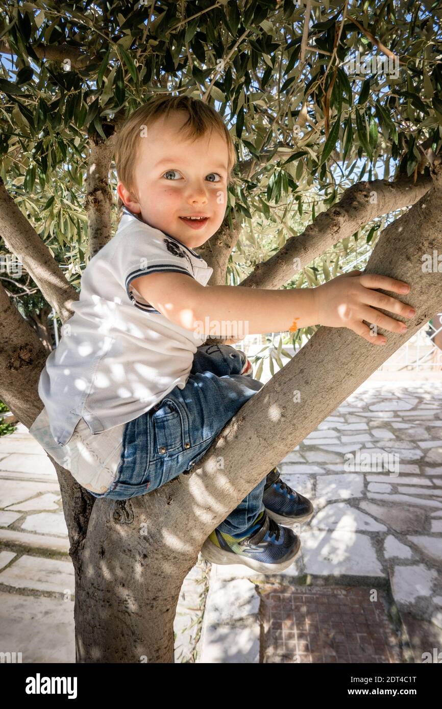 Netter kleiner lächelnder Junge, der auf dem Baum sitzt Stockfoto