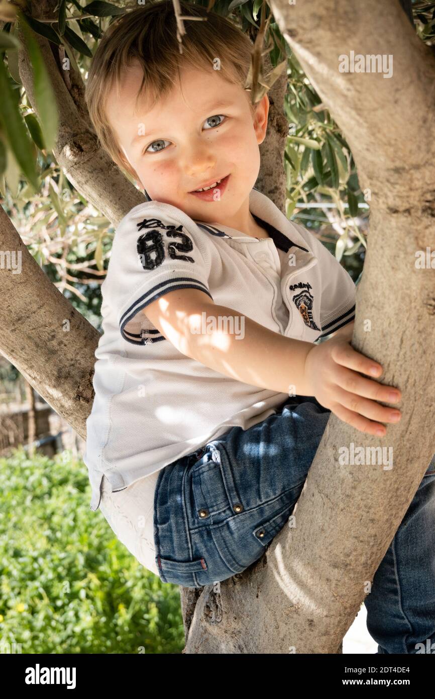 Portrait eines lächelnden Jungen auf Baum sitzend und anschaut Kamera Stockfoto