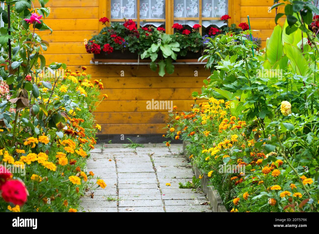 Gartenhaus mit Fensterläden in den Fenstern Deutschland Vorstadt Zuteilung Garten Gartenhaus Blumen Stockfoto