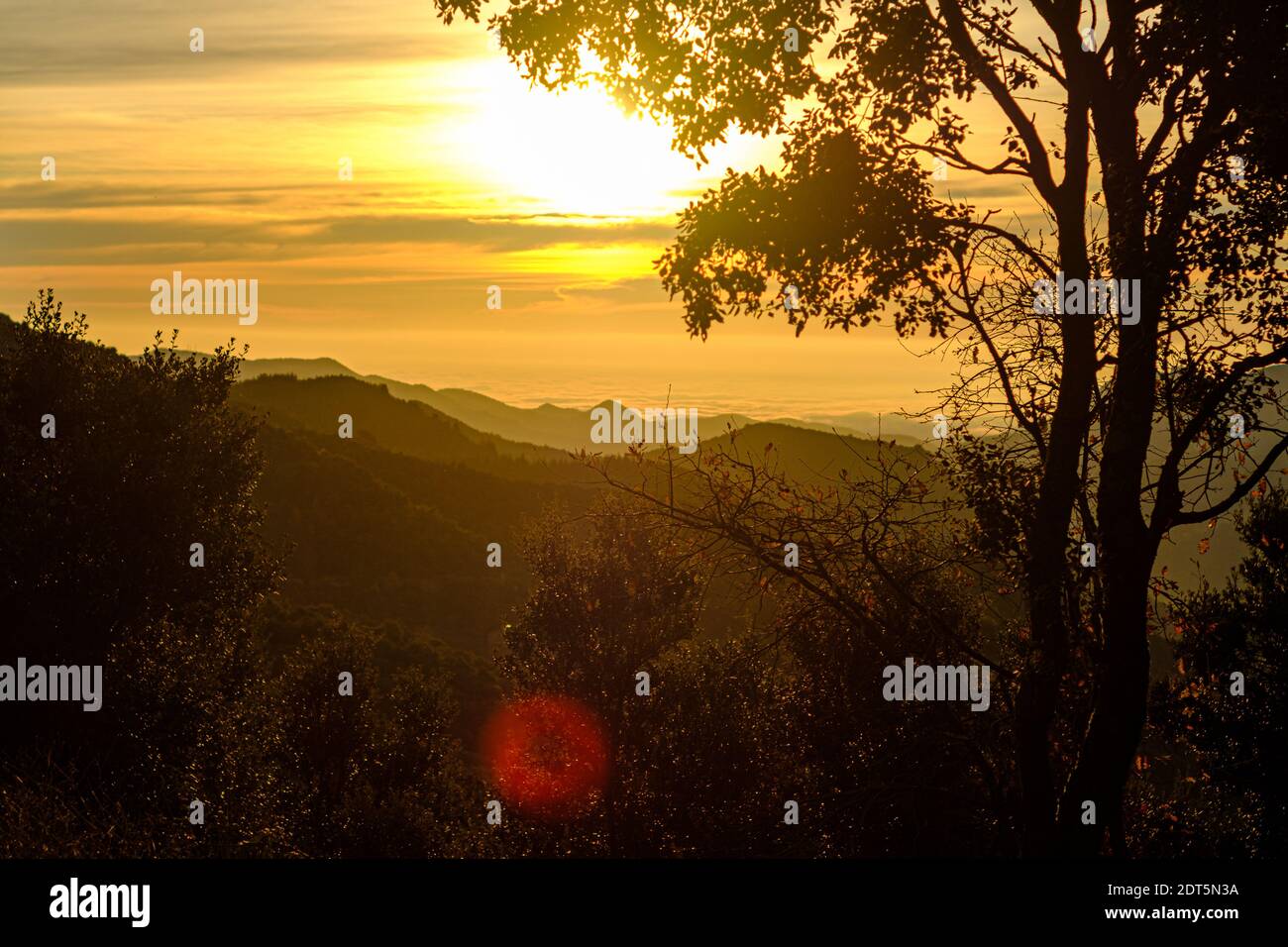 Gelbe Sonne scheint auf einem Nebel nebligen Himmel Sonnenaufgang Berg Landschaft mit Baumsilhouette und Sonneneinstrahlung Stockfoto