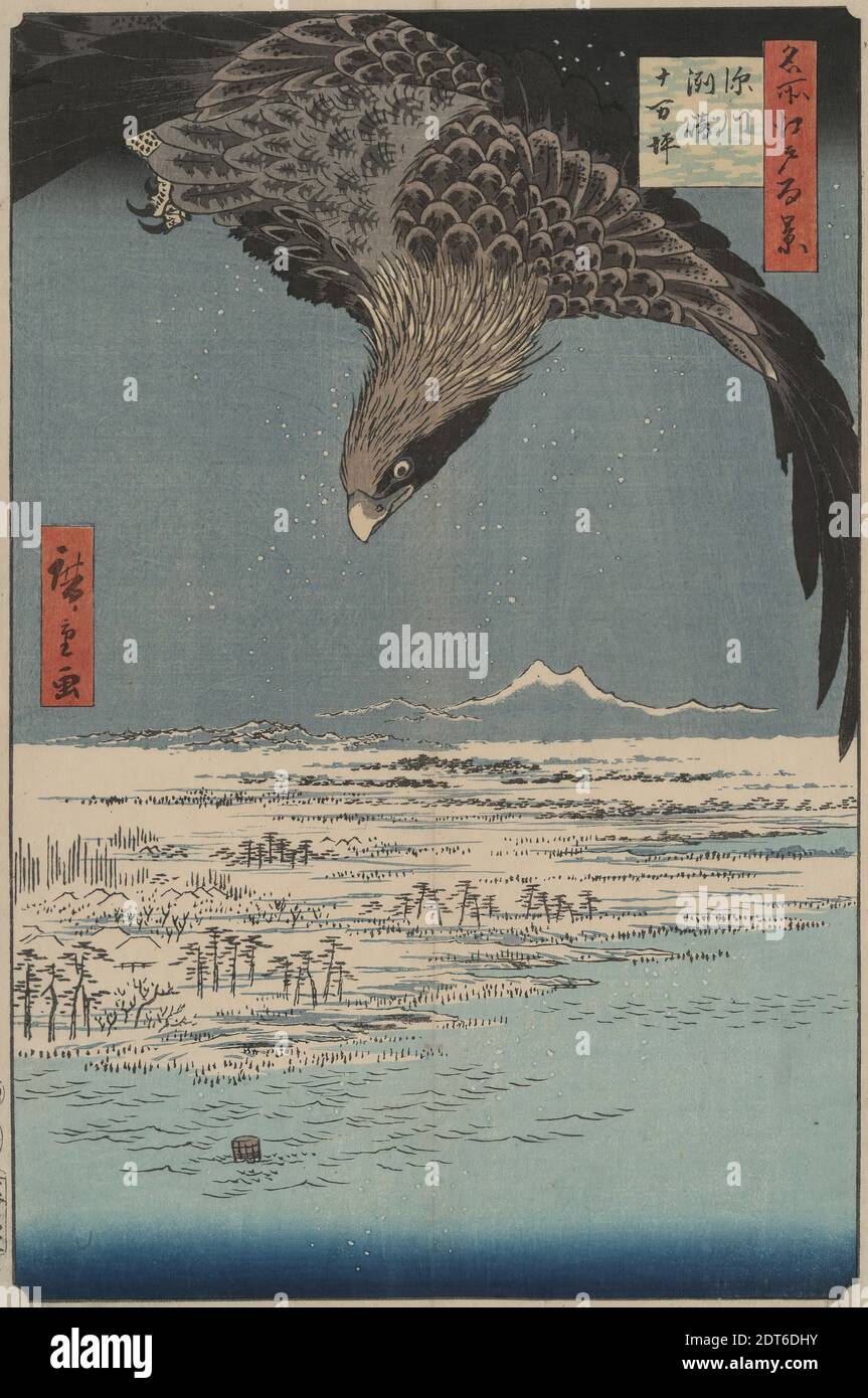 Künstler: Utagawa Hiroshige, japanisch, 1797–1858, TEN Thousand Acre Plain Fukagawa Susaki: Hundert berühmte Ansichten von Edo, interkalär 5. Monat 1857, Polychromer Holzschnitt, Blatt: 13 1/4 × 8 3/4 in. (33.6 × 22.2 cm), Japan, Japanisch, Edo-Zeit (1615–1868), Arbeiten auf Papier - Drucke Stockfoto